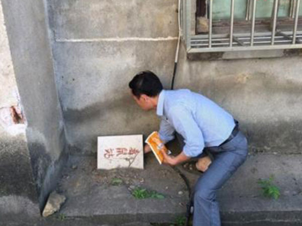 灭鼠公司介绍几种防治老鼠的方法